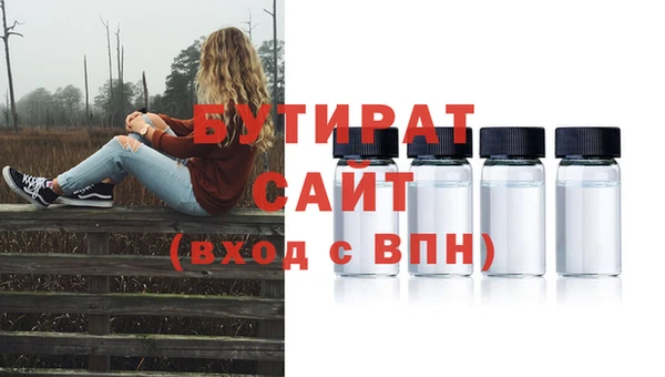 мдпв Ельня