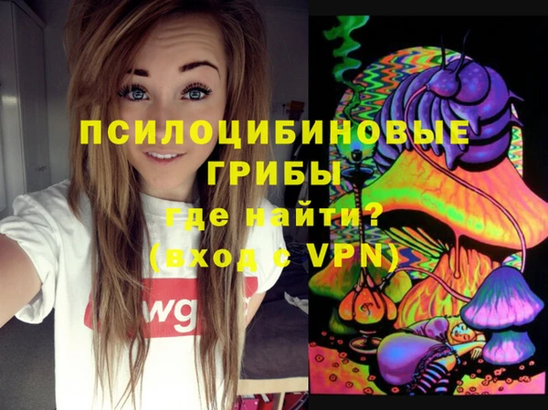 Альфа ПВП Армянск