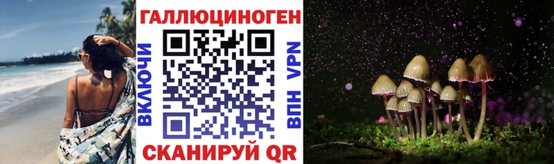 Галлюциногенные грибы прущие грибы  Луга 